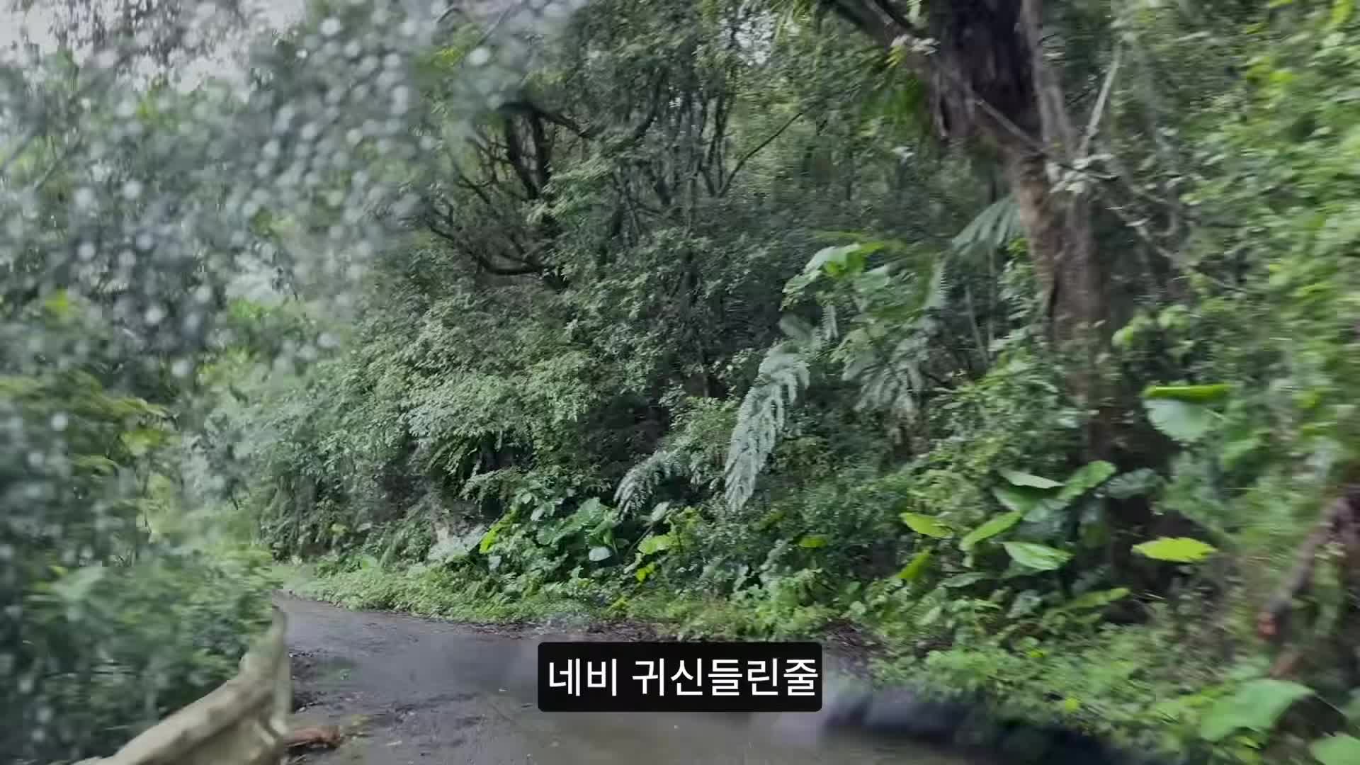 @엄비umbi
