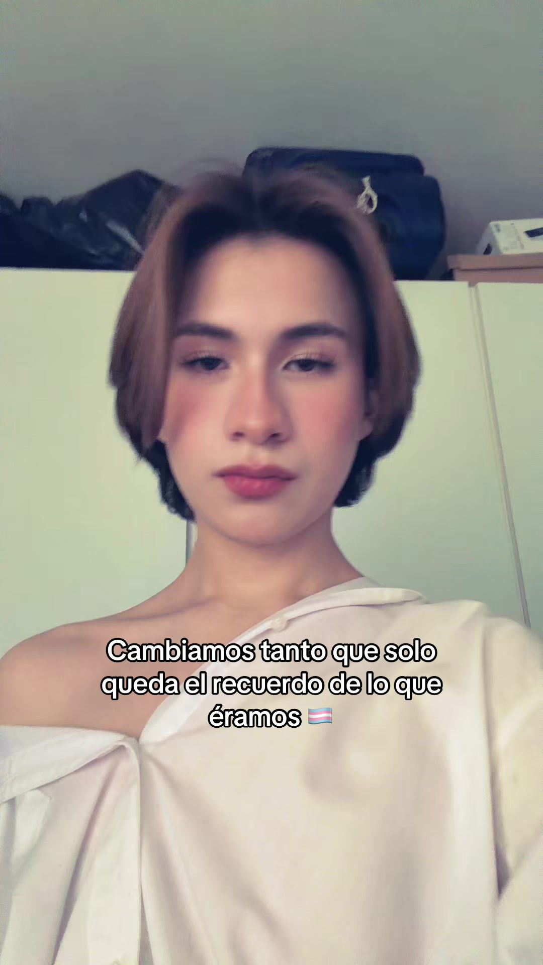 @pollitaloes