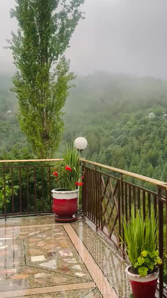 @ṂȖἬᾋṂṂᾋƉ ἿȒҒᾋƝ ЈȖҬҬ