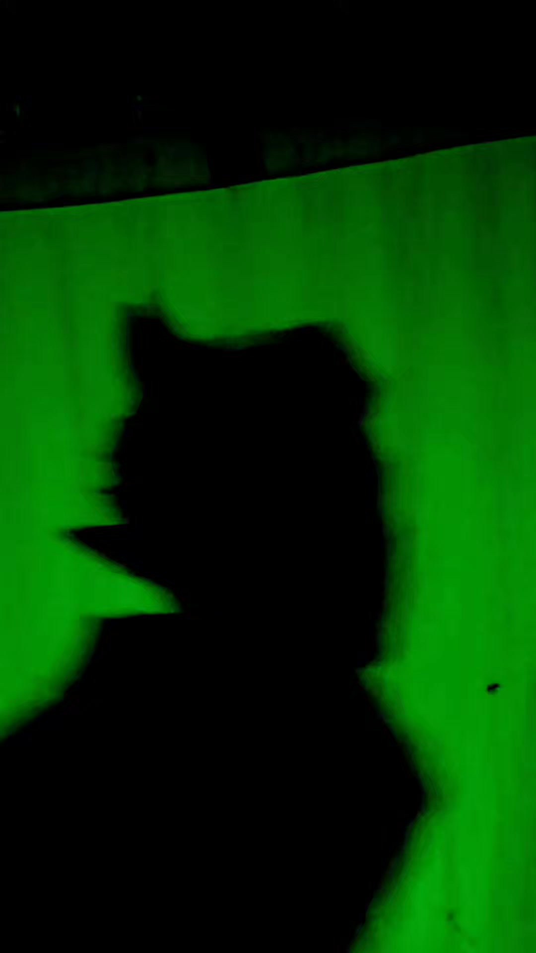 @🎩🖤sombrita shadow🖤🎩