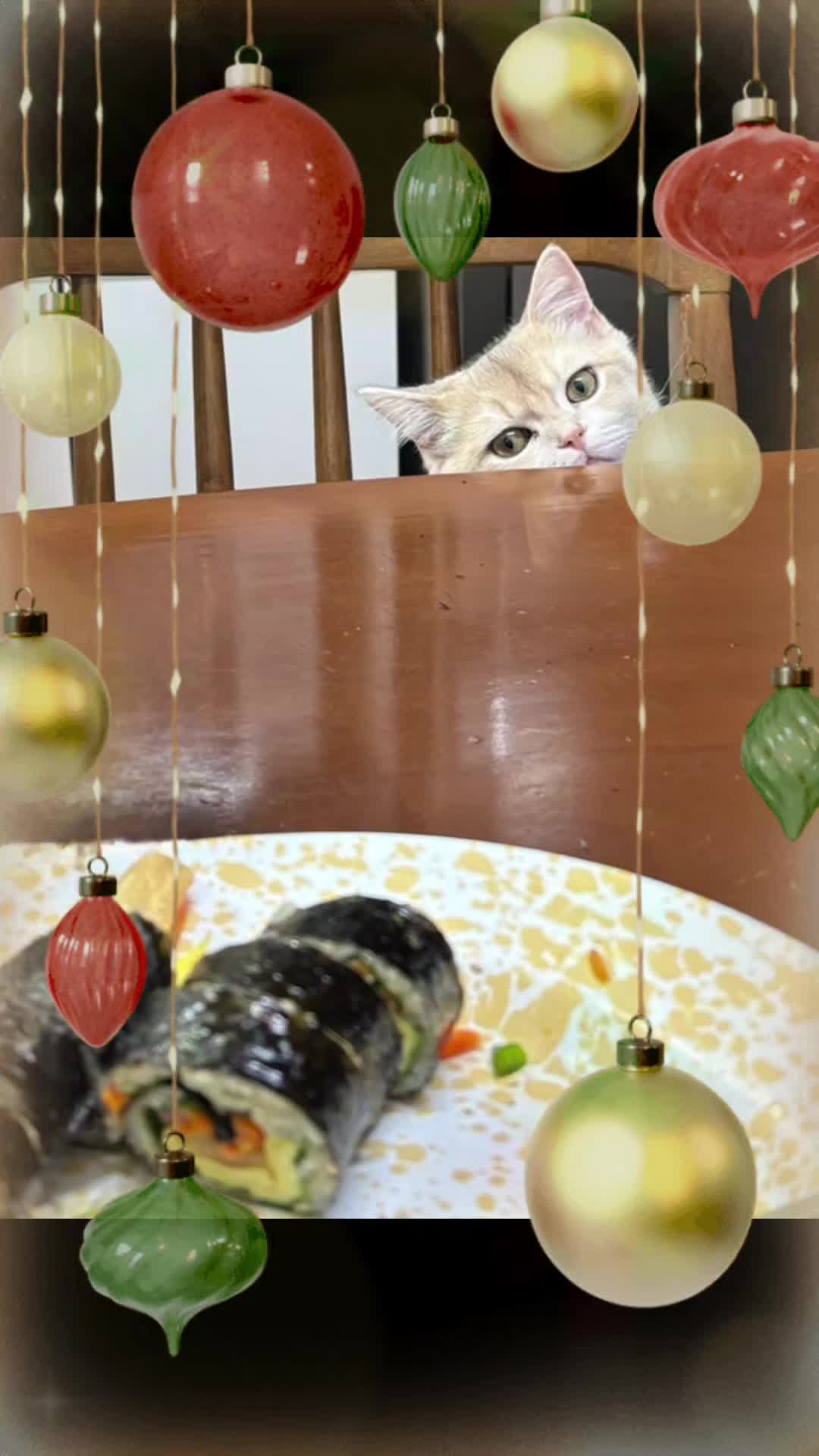 @쑥부쟁이