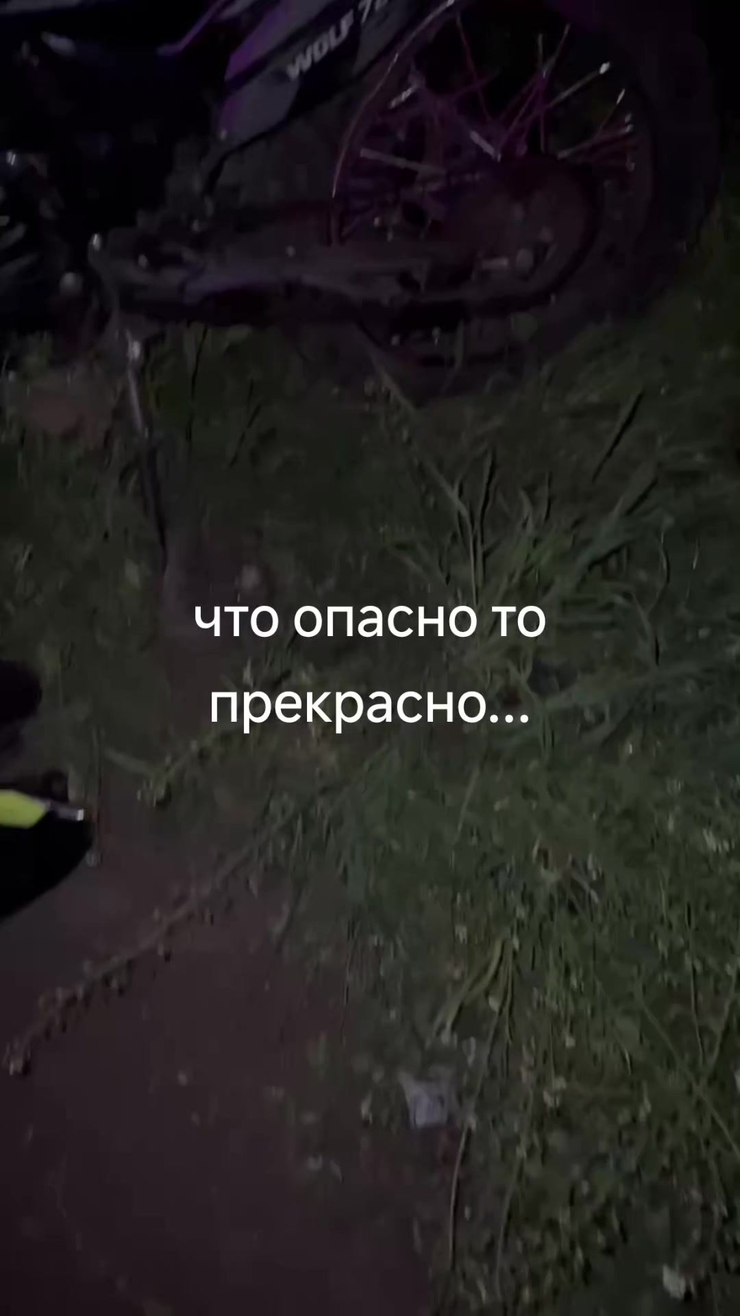 @Larek
