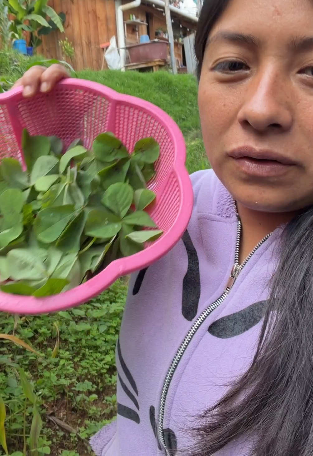 @Las Curiosidades de mamá