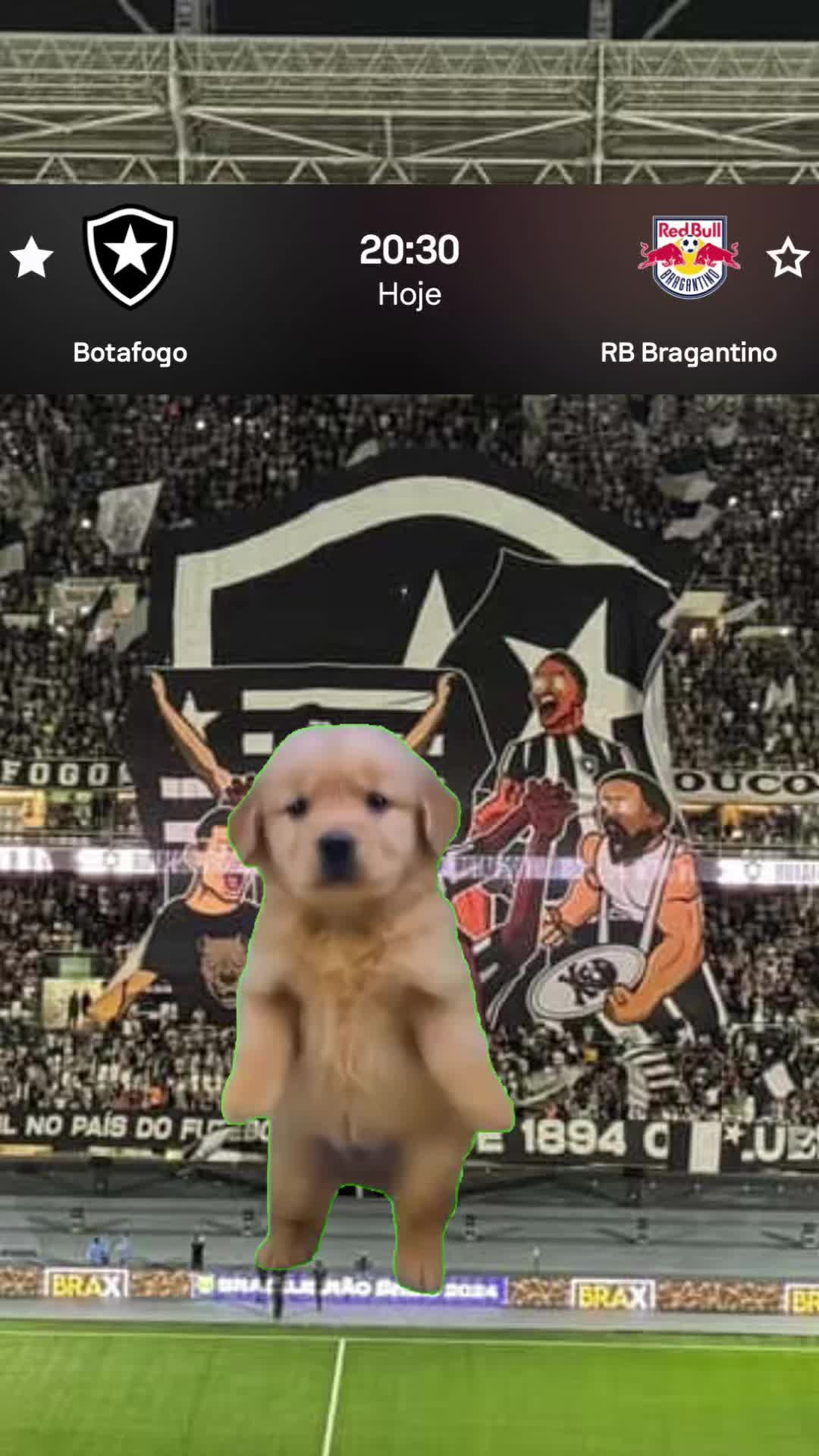 @Botafogo