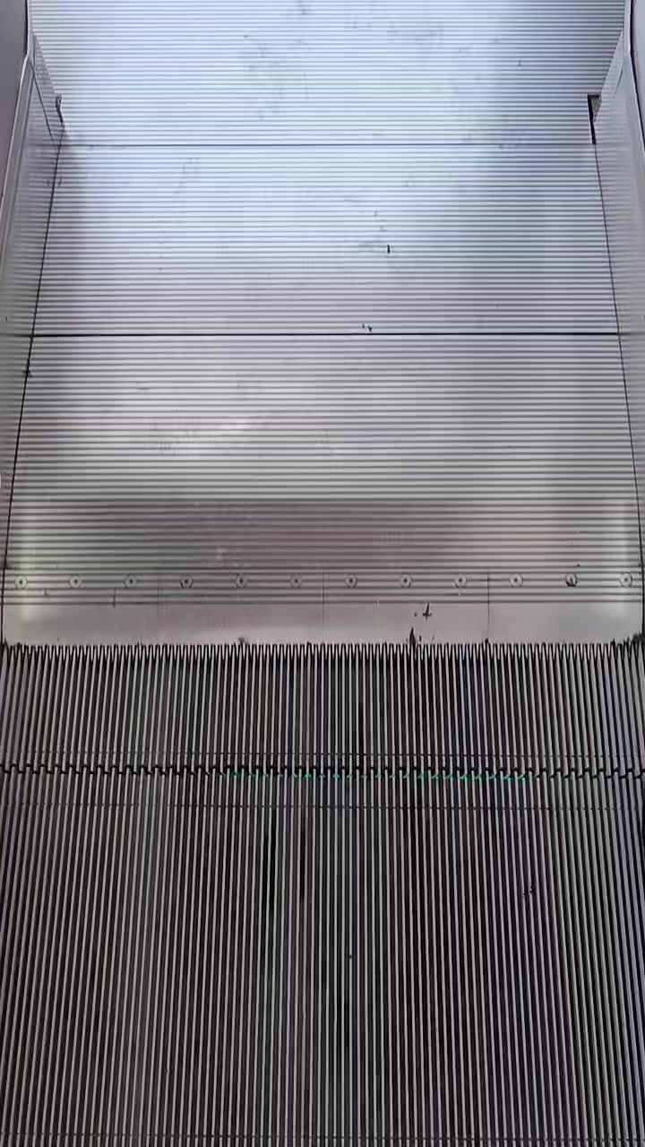 @ʄǟʀiֆ _🦁