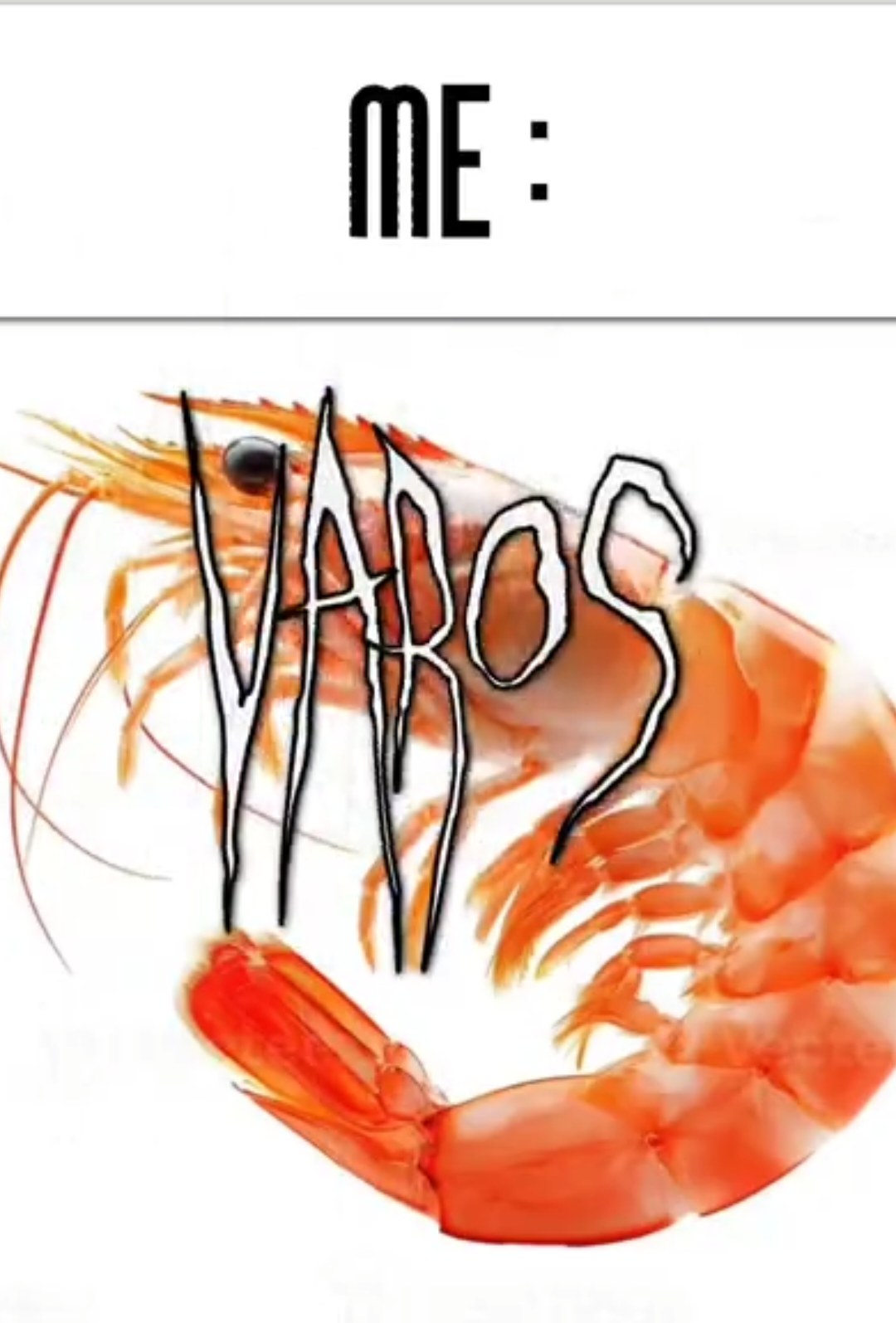 @V A R O S