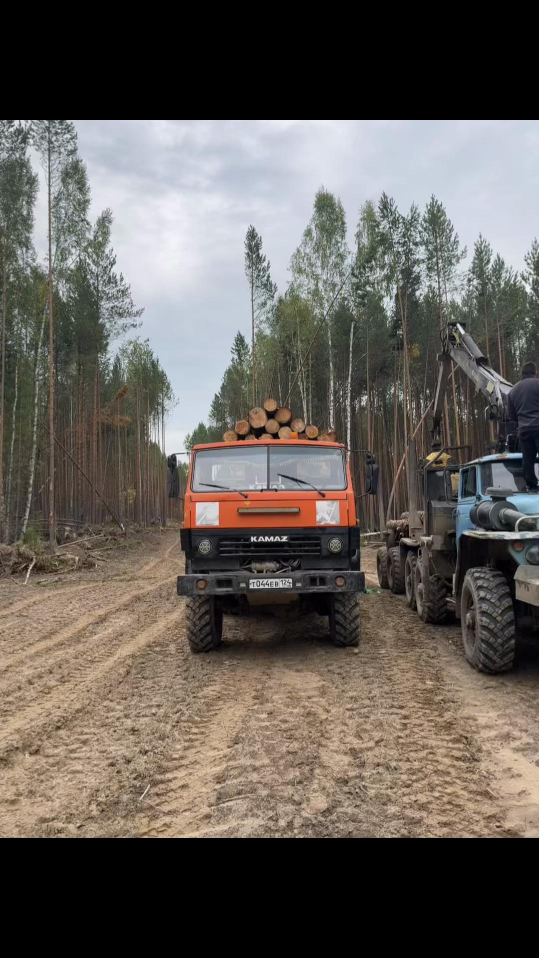 @Константин Алёшин