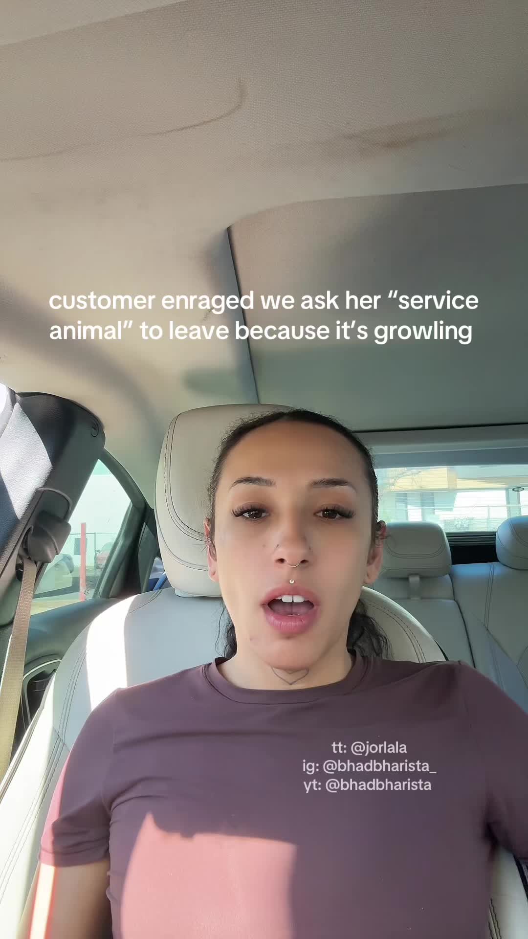 @bhadbharista