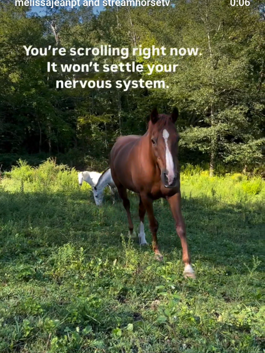 @streamhorse