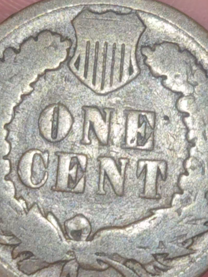 @Coin Collector 🪙