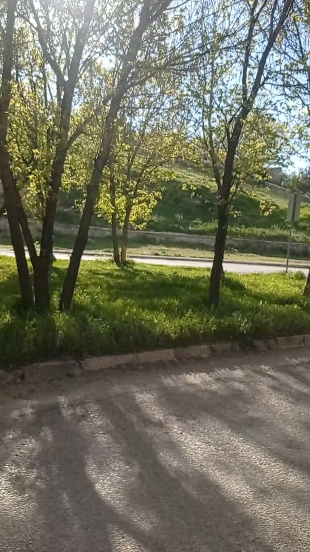 @🇦🇿 Elnare🇦🇿