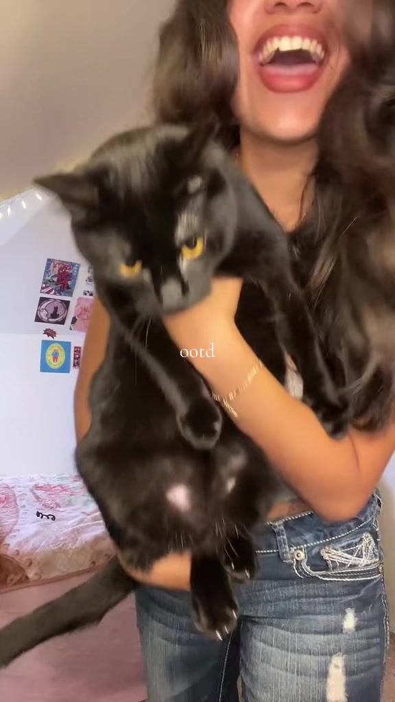 @gitsselle