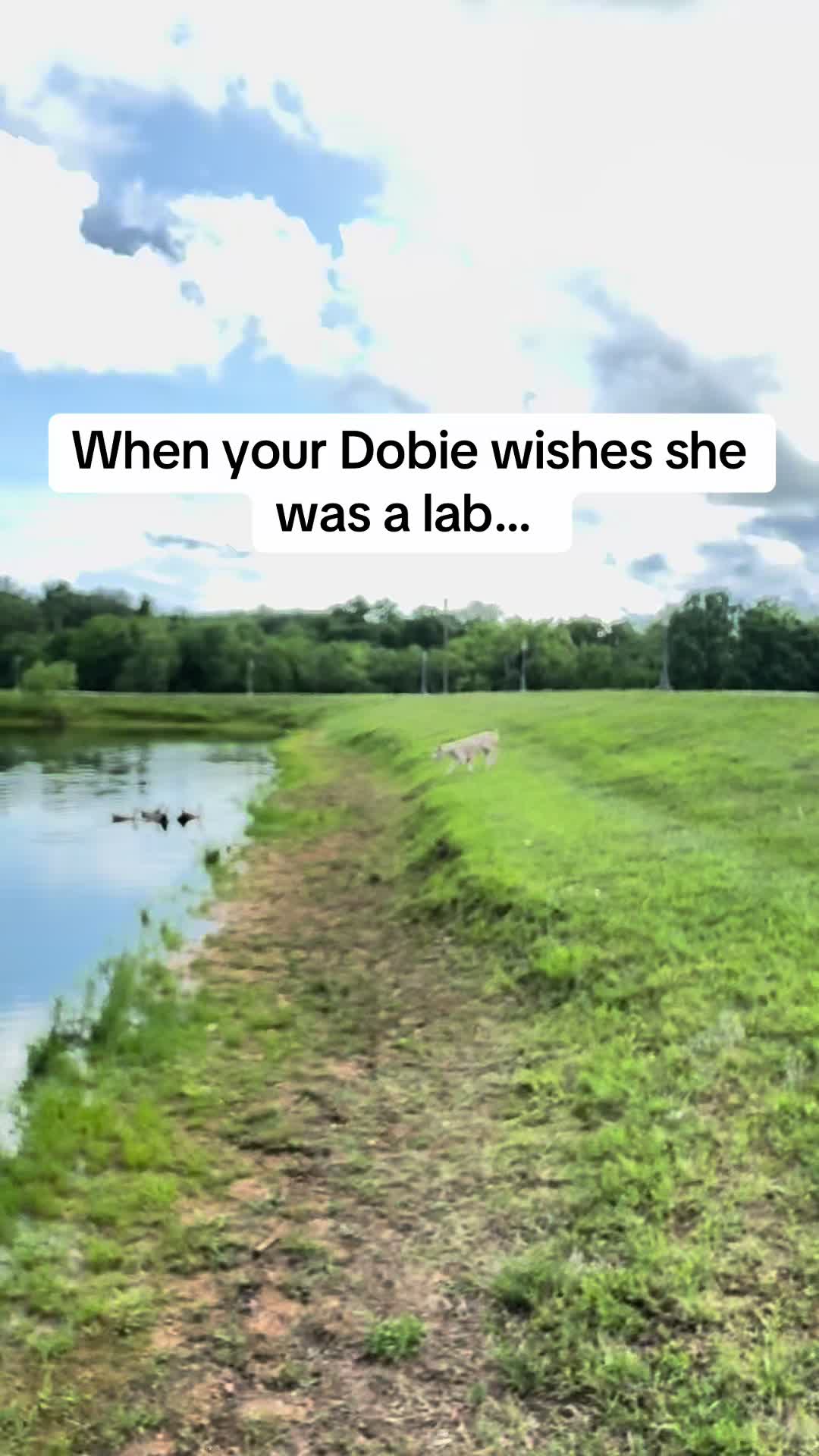 @AddictChick