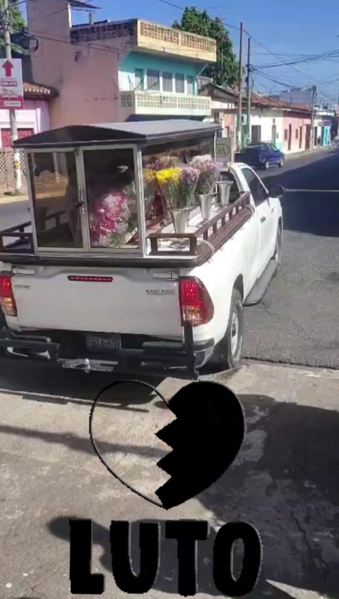 @🐝𝒜𝒷ℯ𝒿𝒶 ℛℯ𝒾𝓃𝒶👑