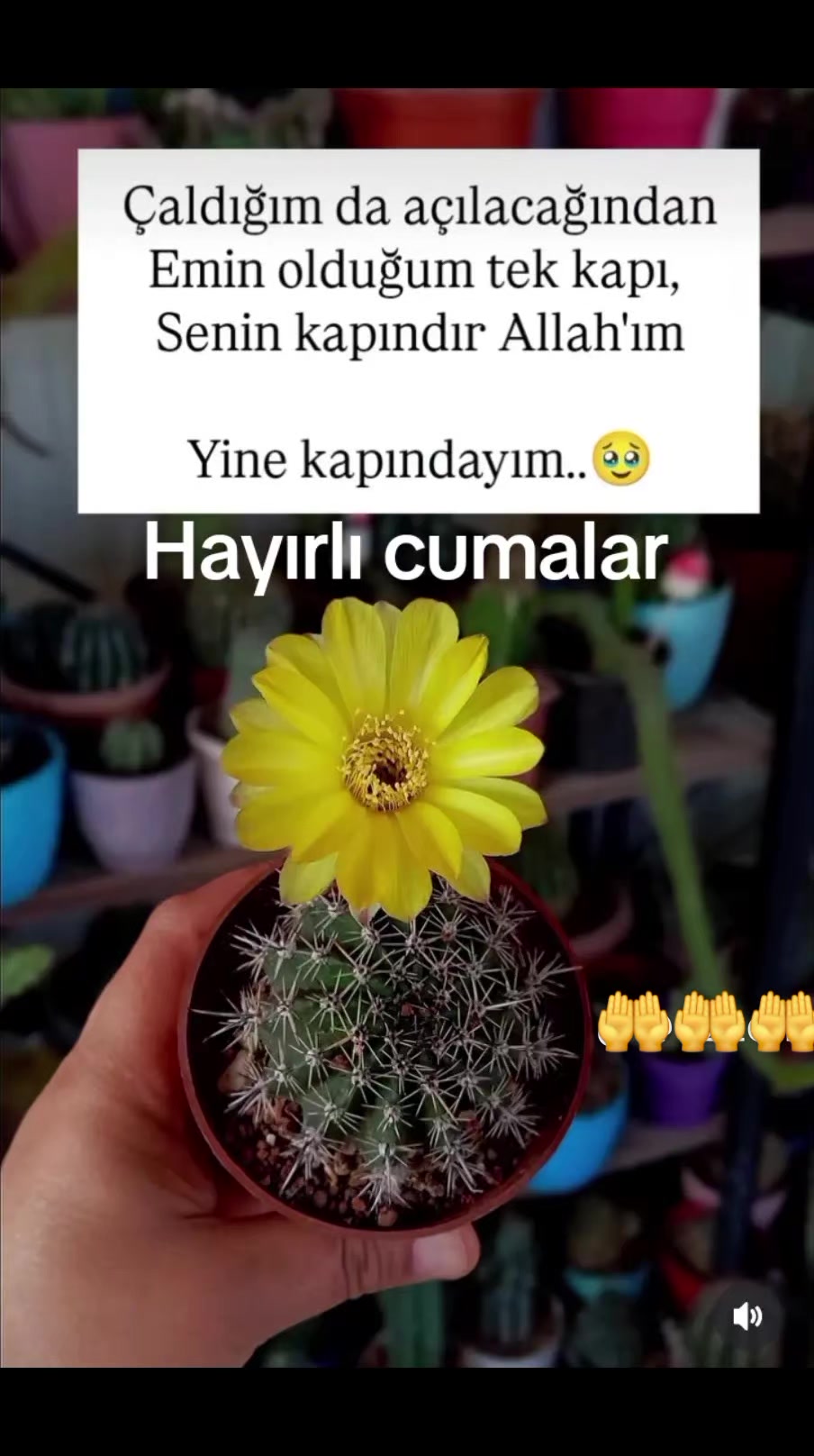 @ümüt dünyası