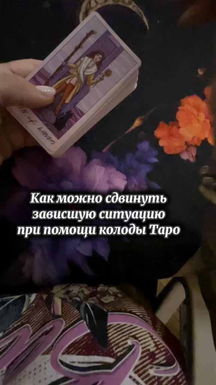 @nikadar_369