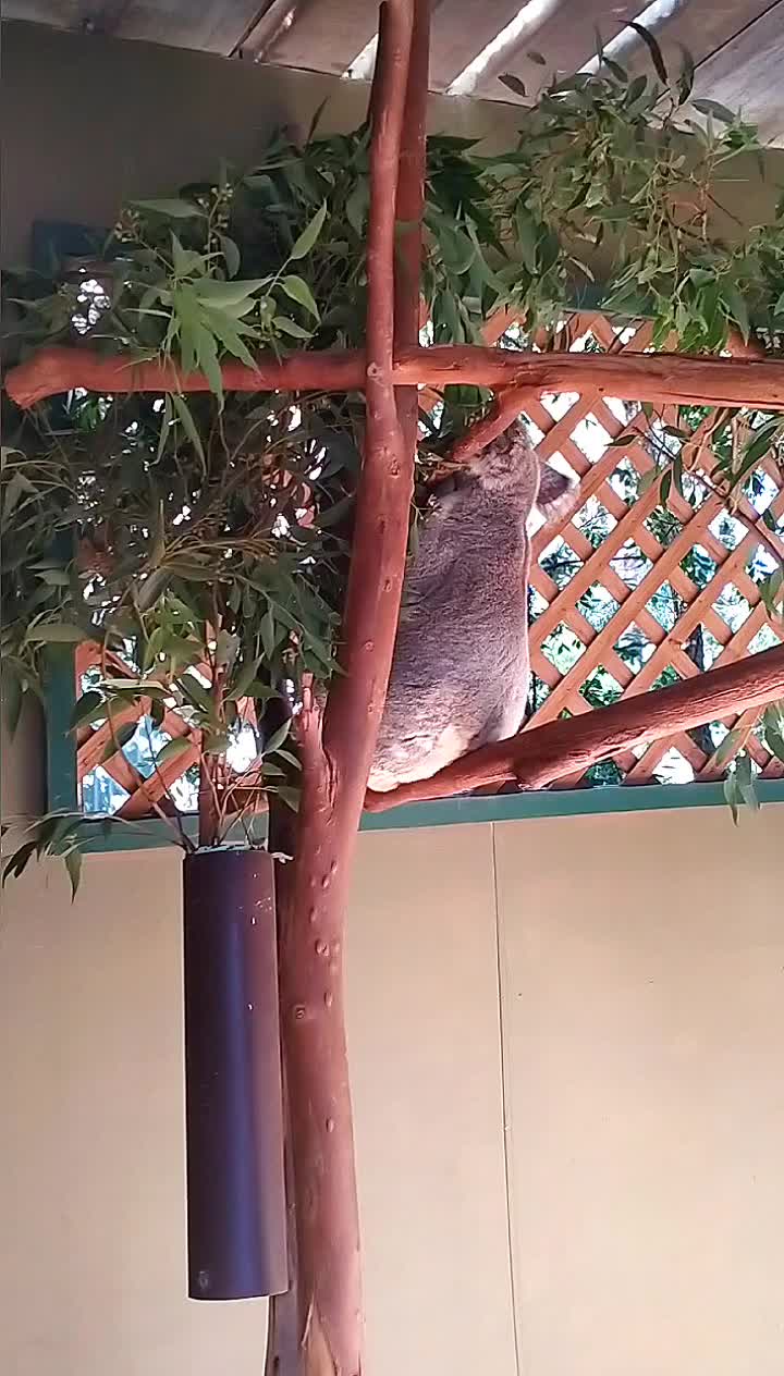 @๐ค๐ถ๐๐๐๐๐๐๐ ๐ค