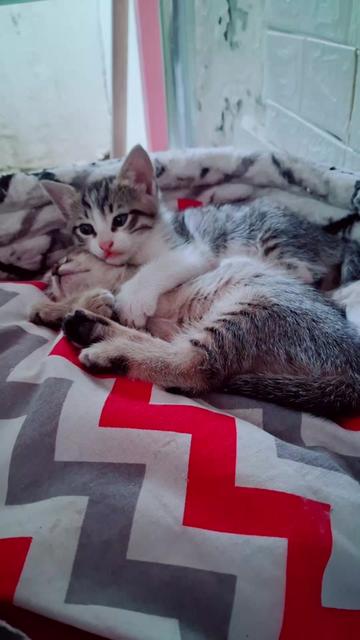 @🇹🇷😻PABLO🇹🇷😻