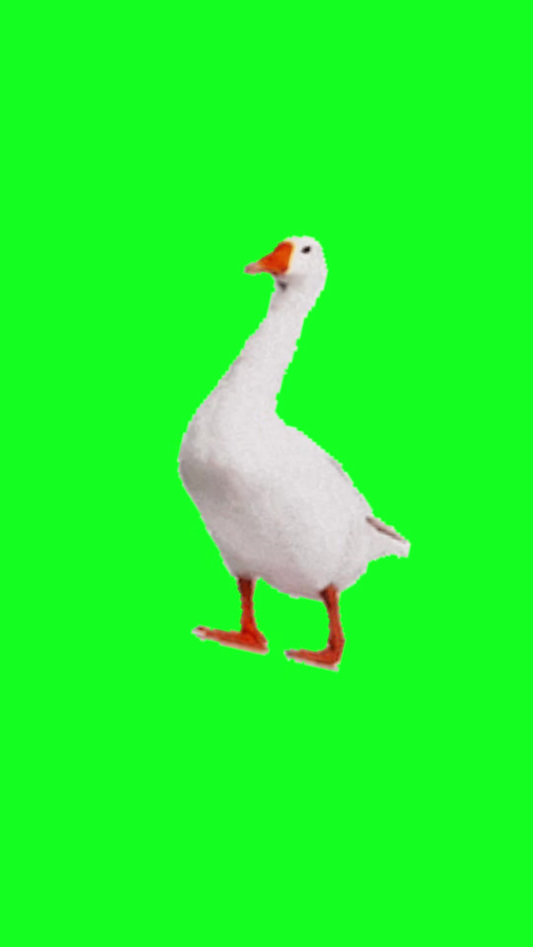 @cmoneyyyyyy67