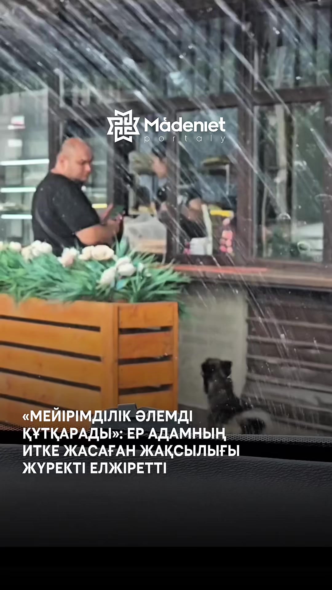 @МӘДЕНИЕТ ПОРТАЛЫ
