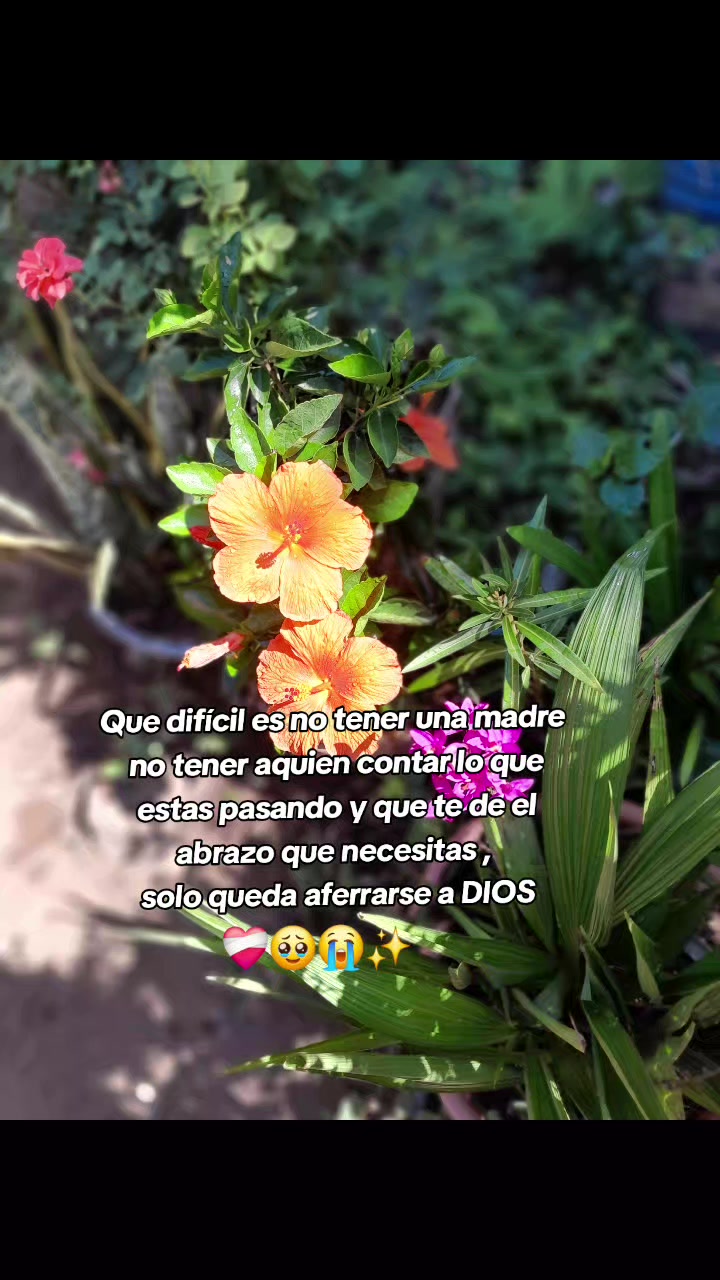 @La Miranda🥰