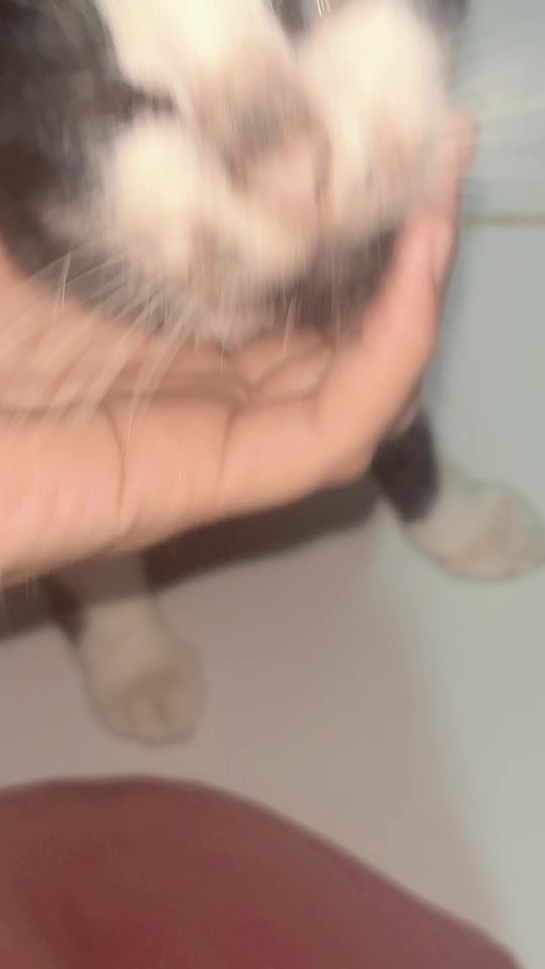 @53l1n349
