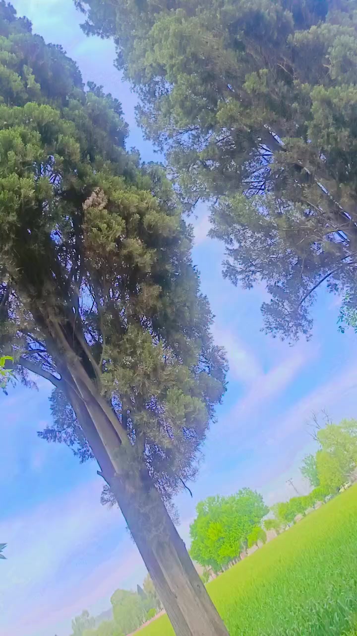 @شاھدحان