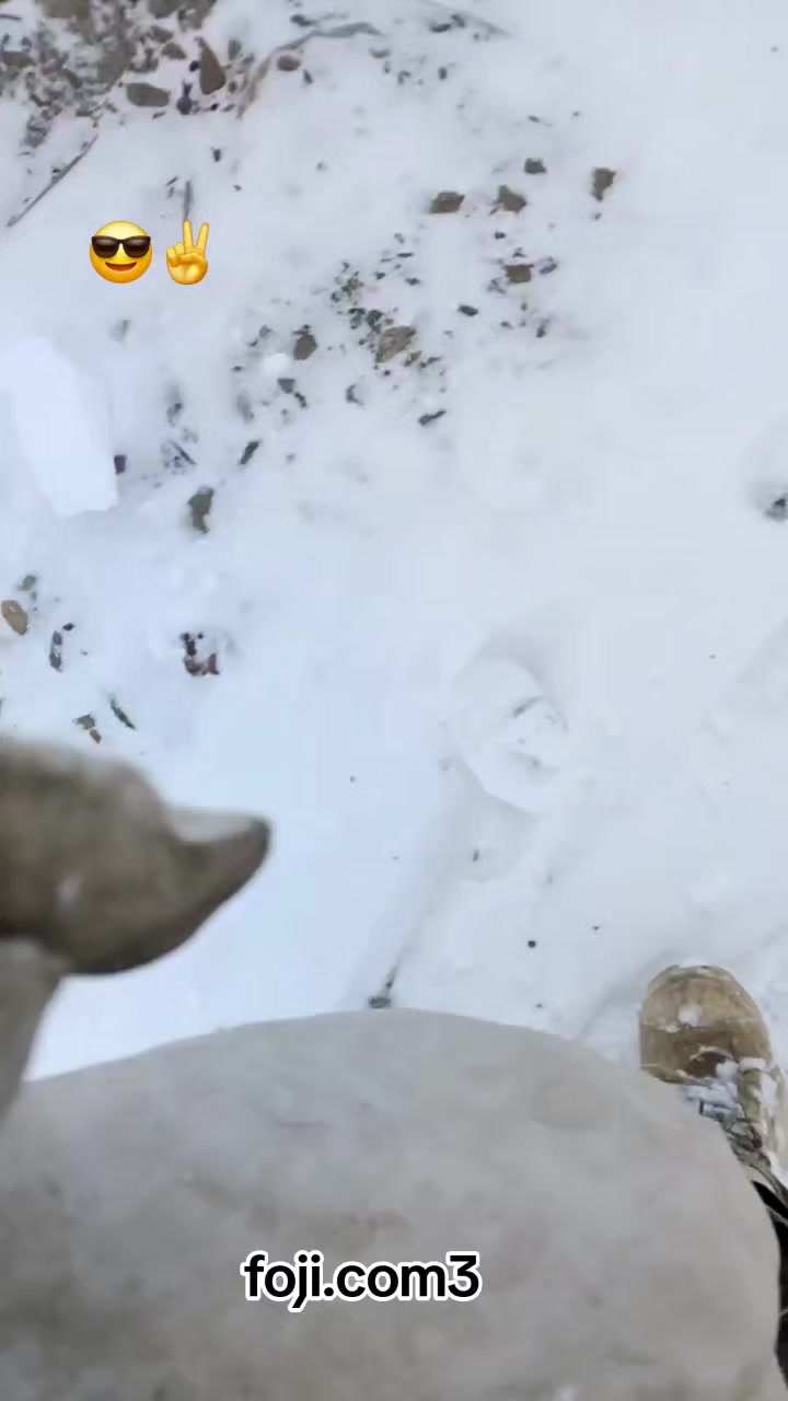@ヅ♏𝔼ح𝔸ℝ 𝕫𝕒𝕕𝕒