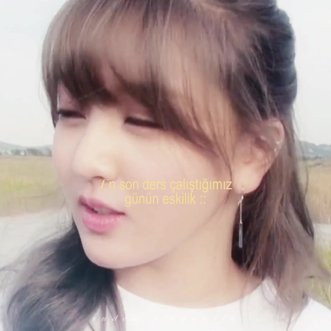 @dudu