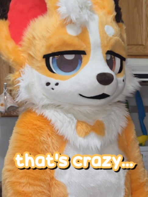 @Corgi