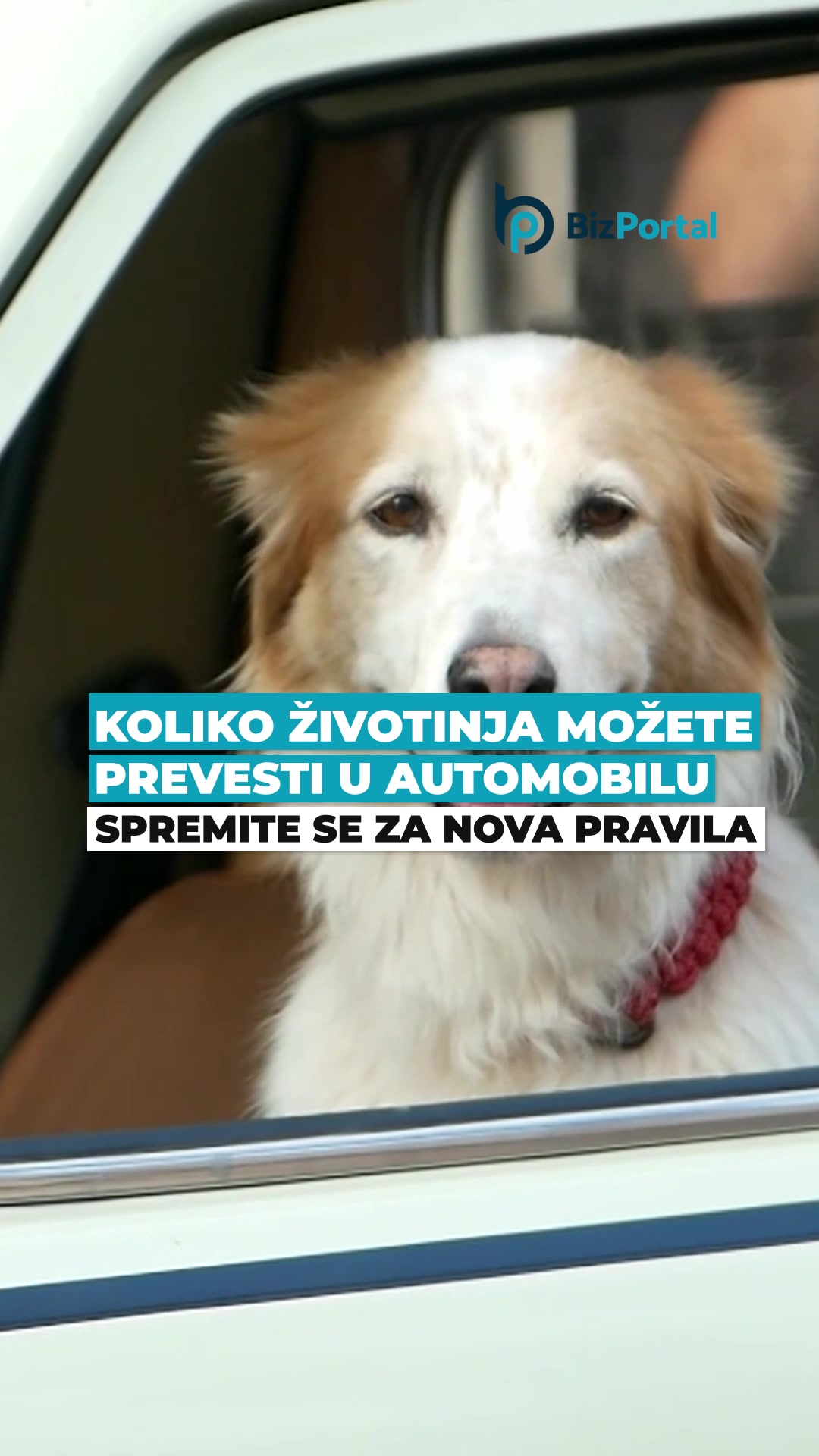 @BizPortal.rs