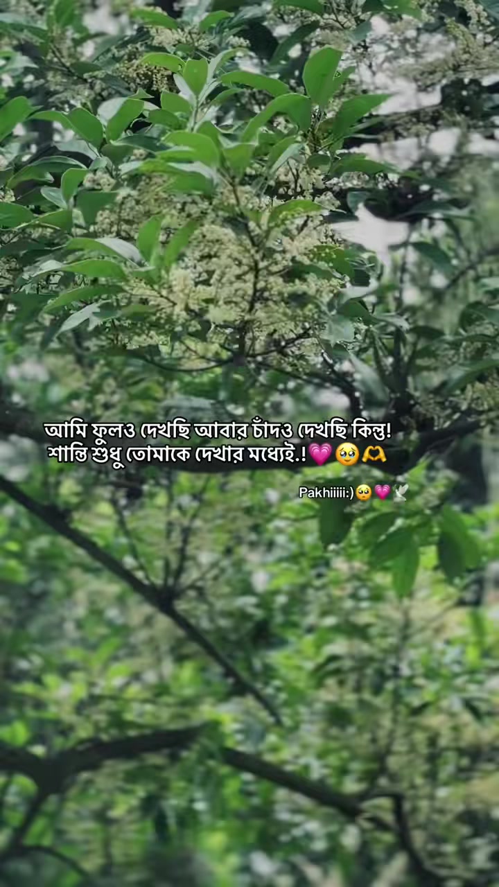 @⚡R.M⚡
