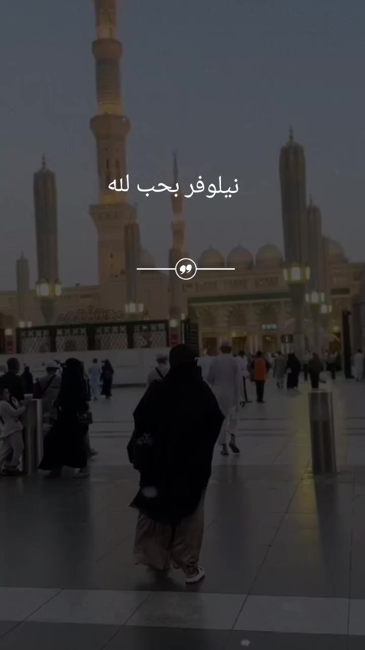 @نيلوفر