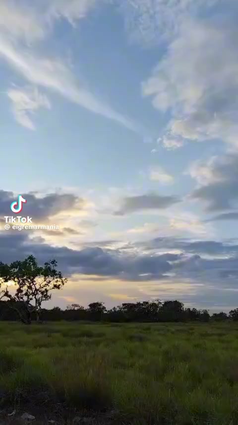 @sujayArraiz