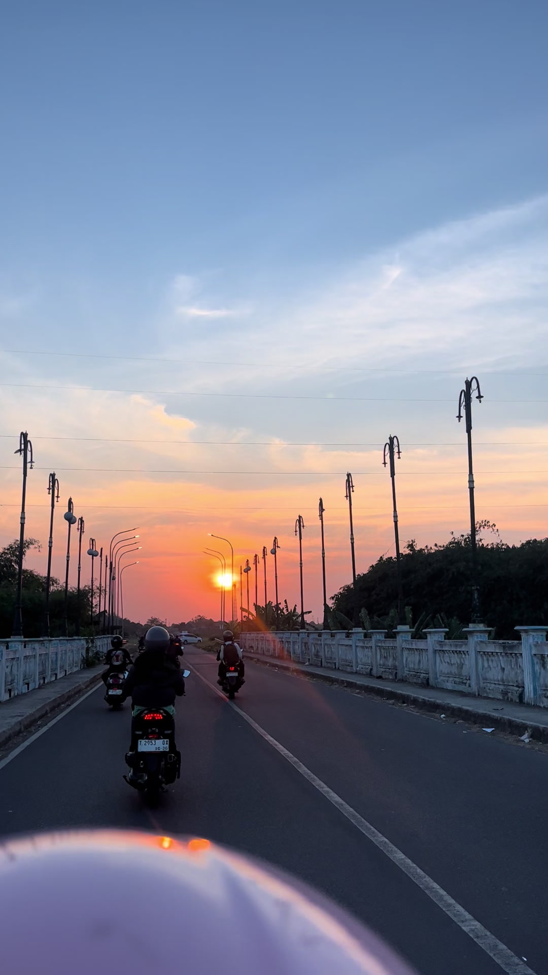 @mawar jingga
