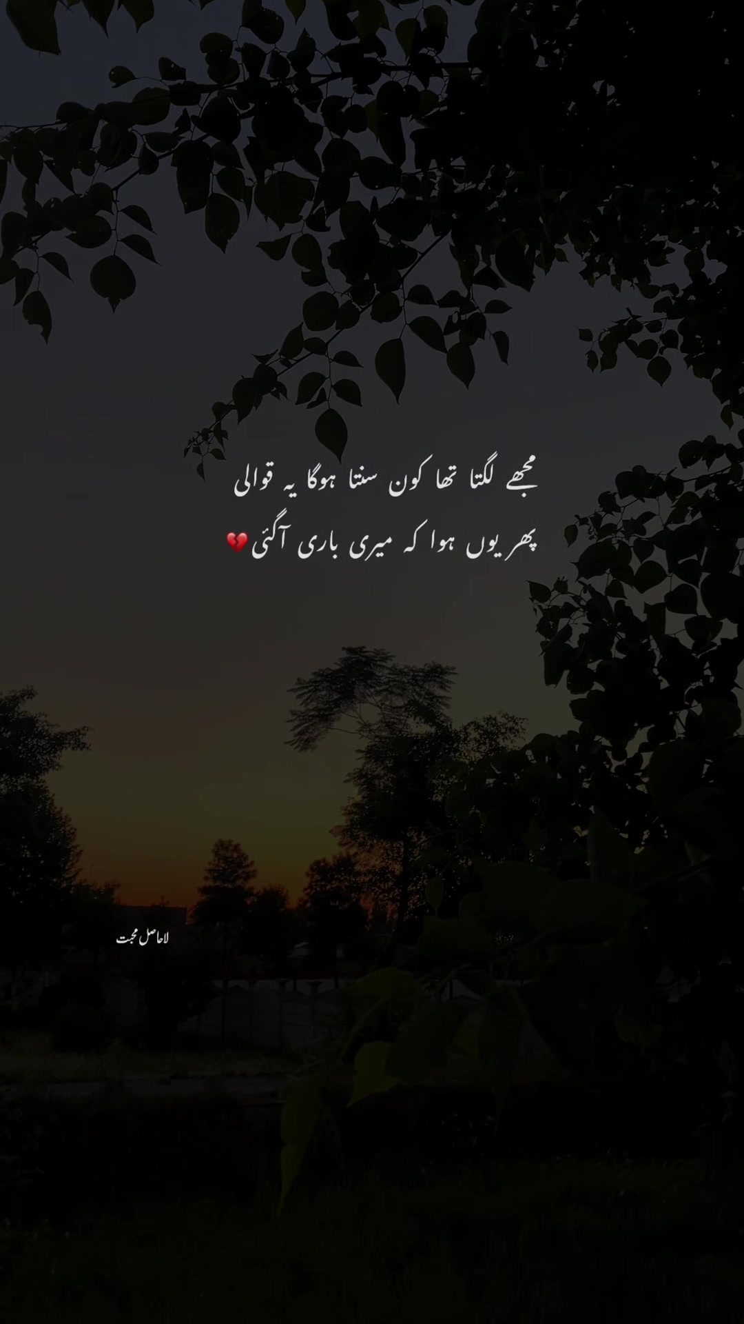 @لا حاصل محبت💔