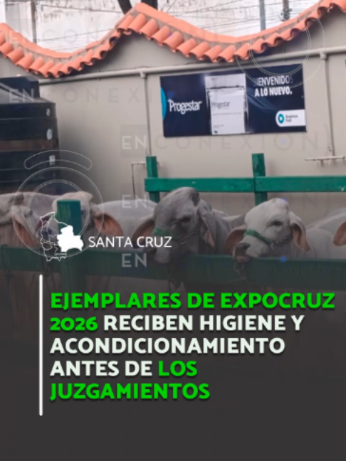 @Conexiónbol