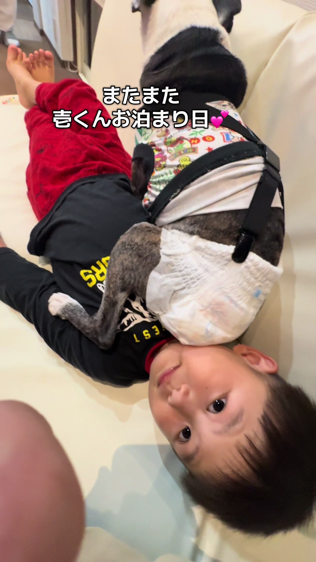 @Bunta