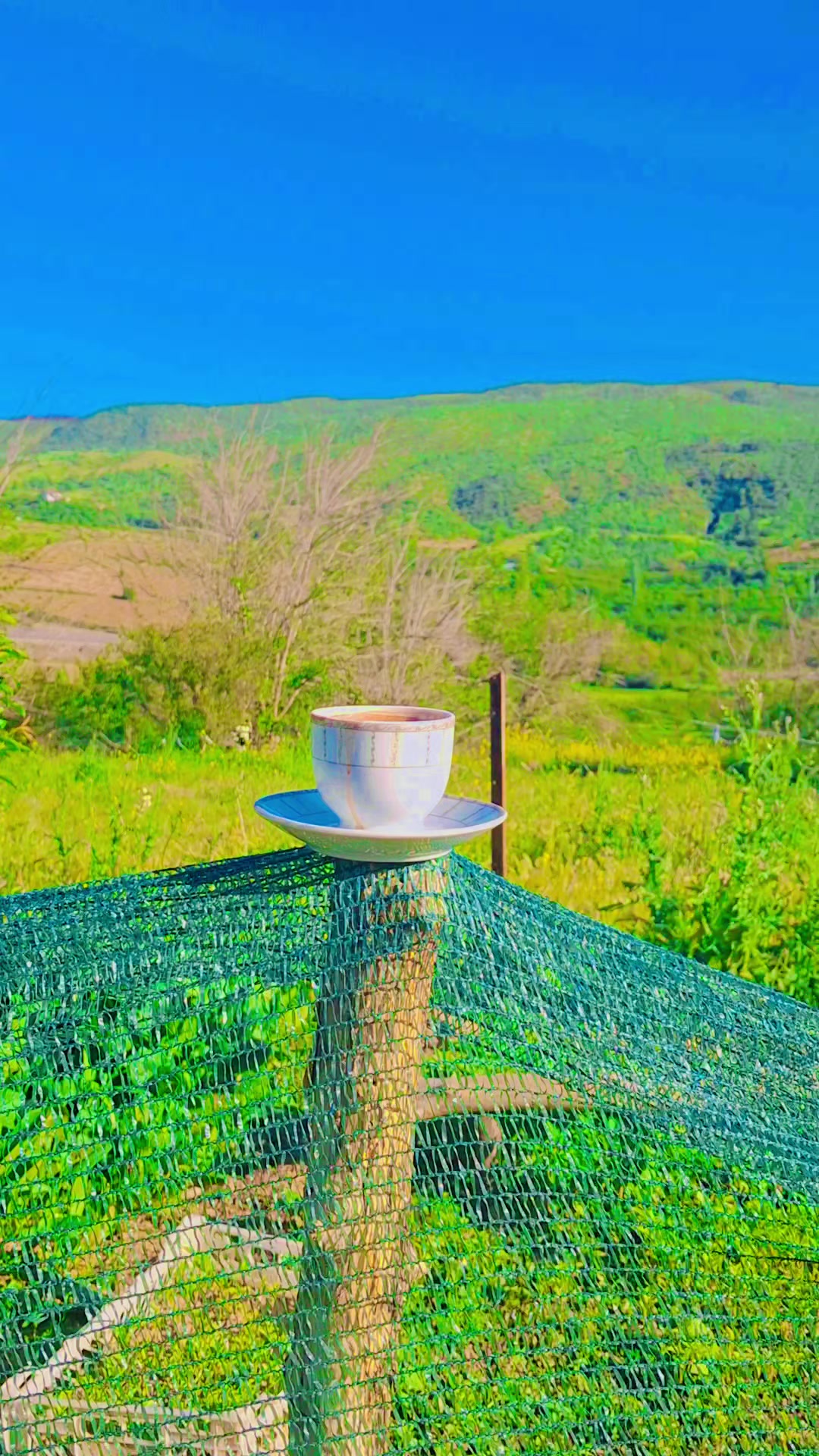 @Ebubekir adıyaman
