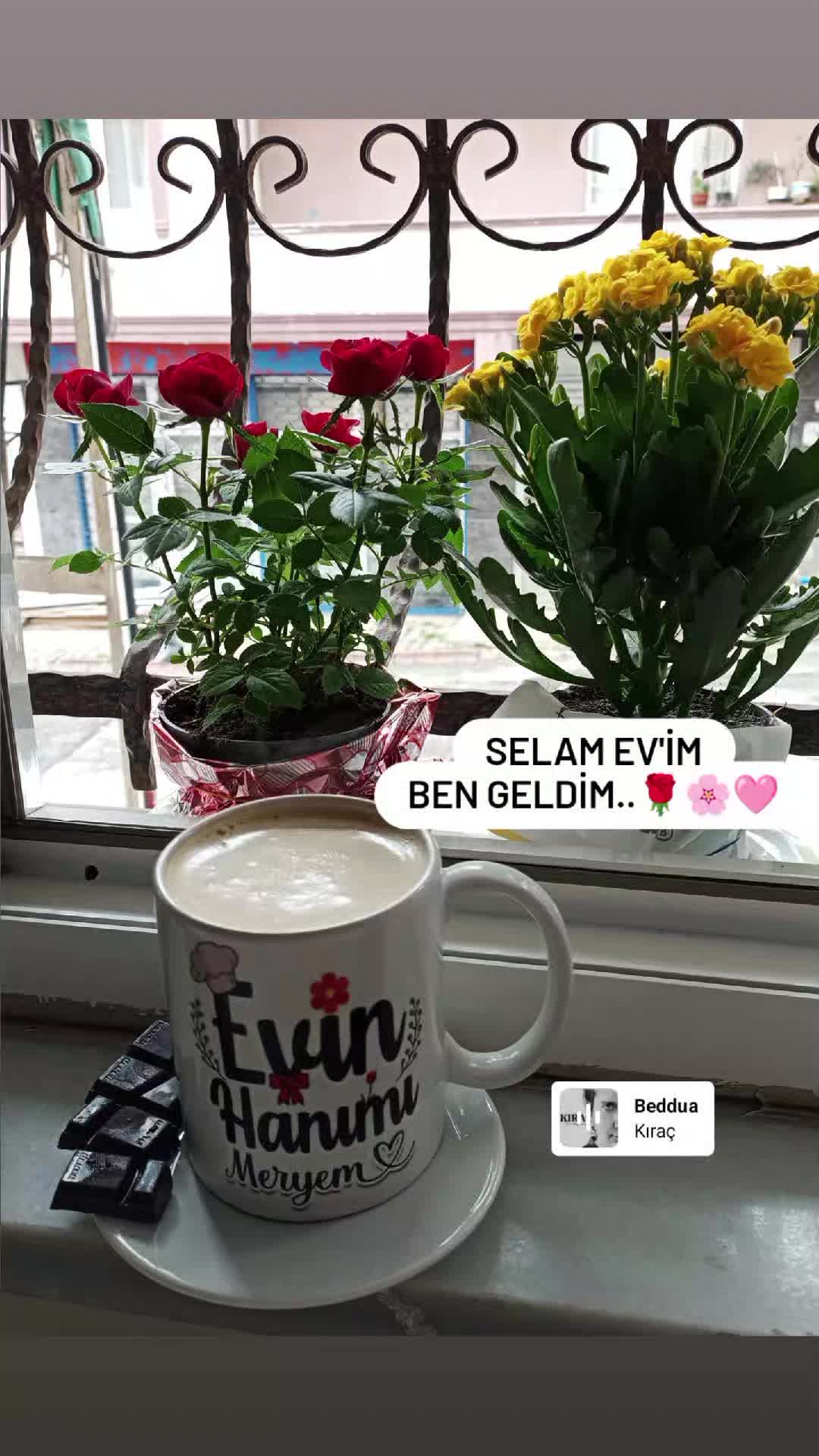 @Melik6564