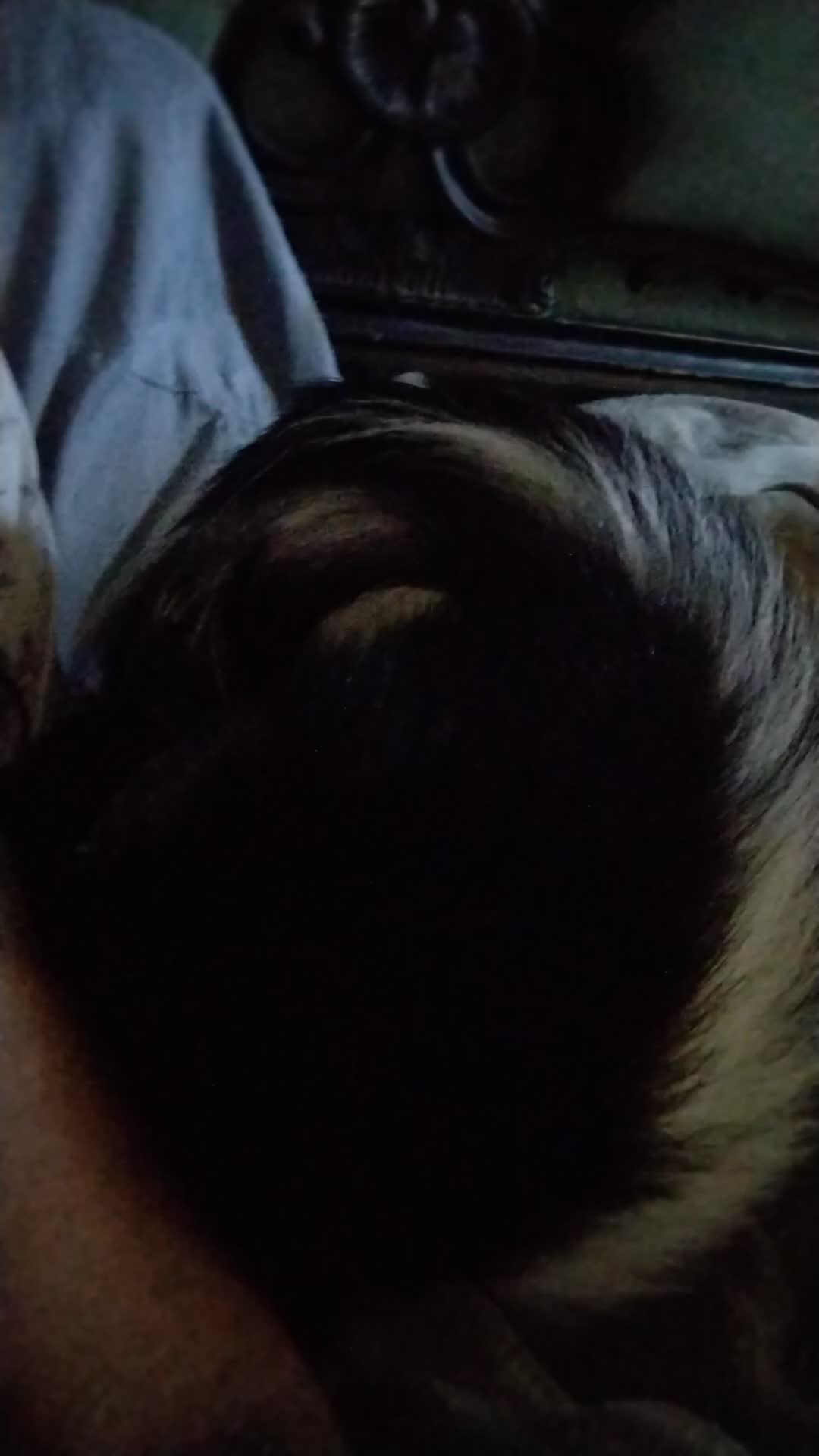 @Pet Skunk Advocates and Rescue