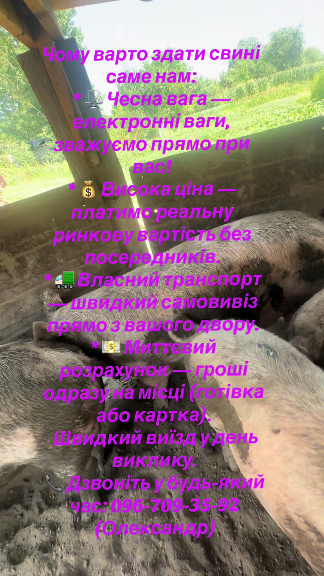 @Олександр