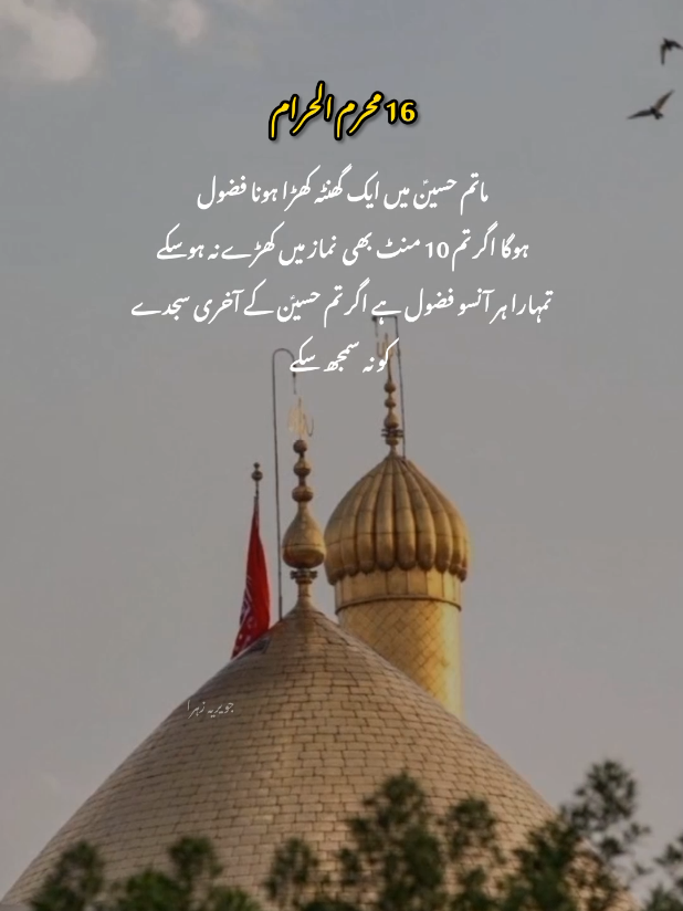 @hussaini vibe