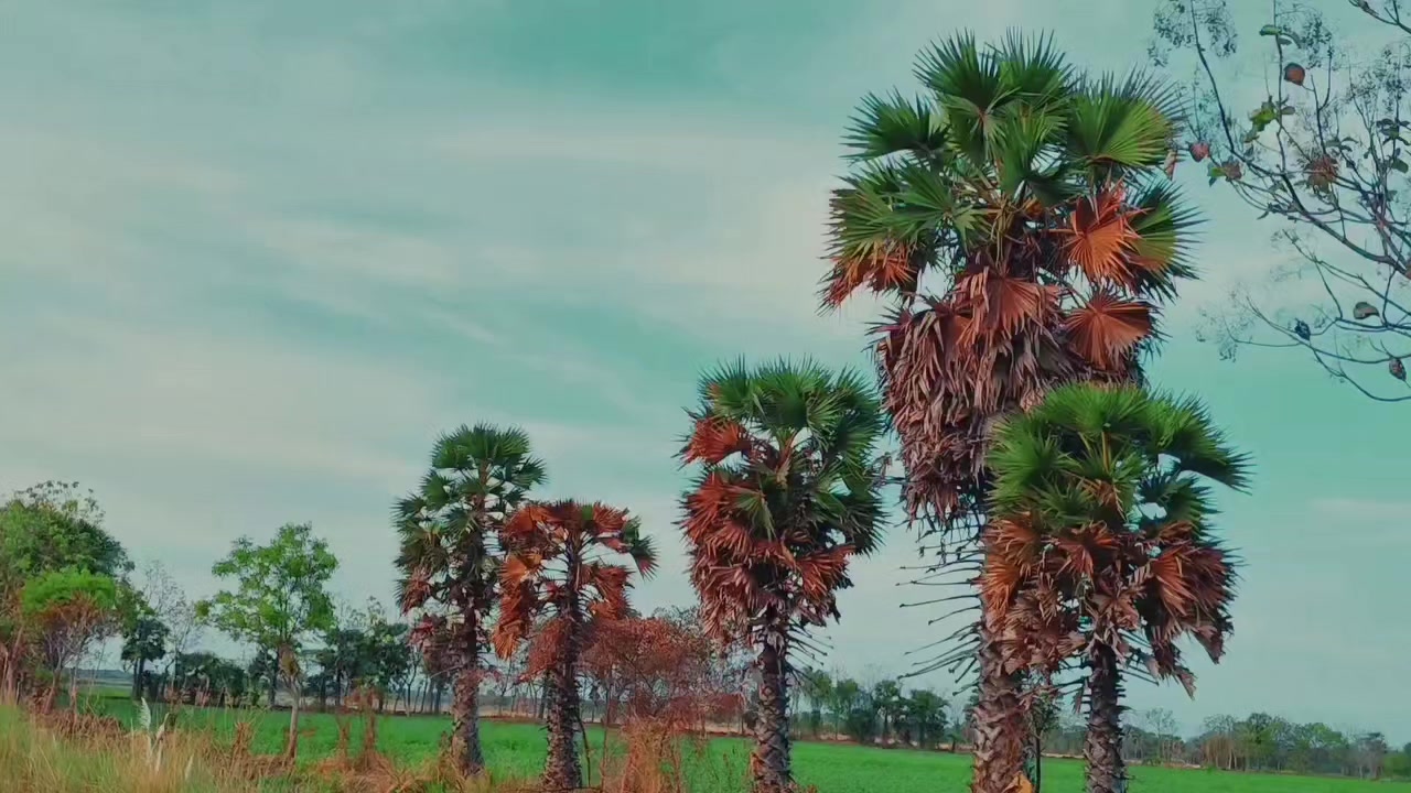 @வணக்கம் நட்ப்புக்களே