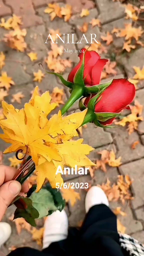 @hazalım 3847
