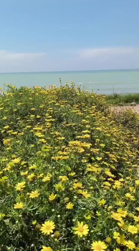 @Mardinli 4747