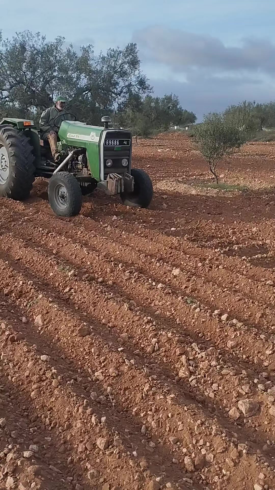 @علاء كرومة