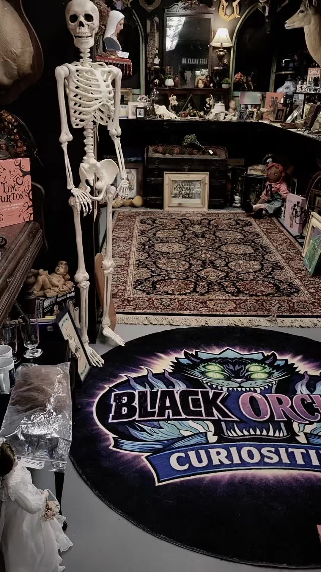 @blackorchidcuriosities