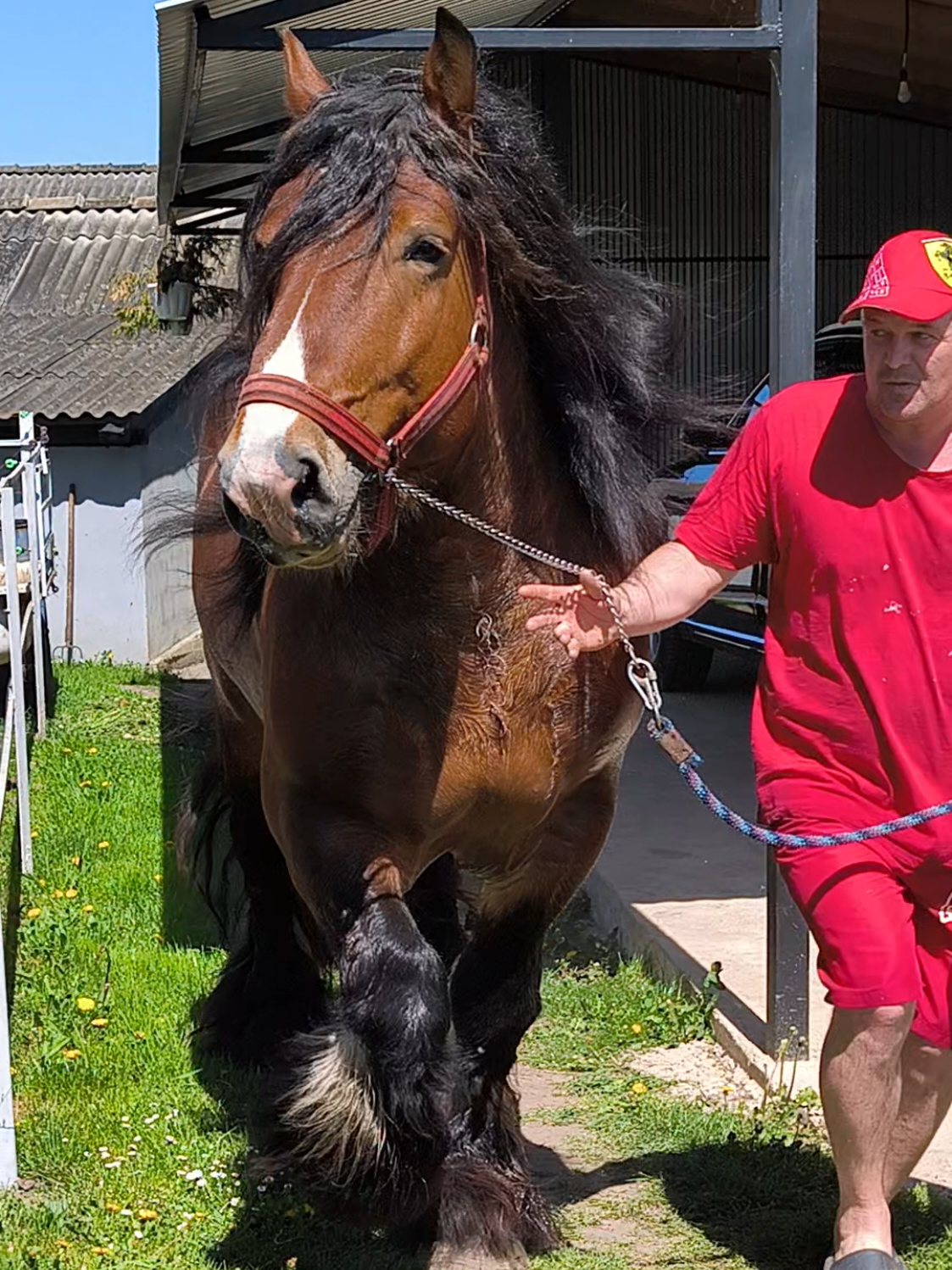 @ВАСЯ БОЙЧУК 🐎