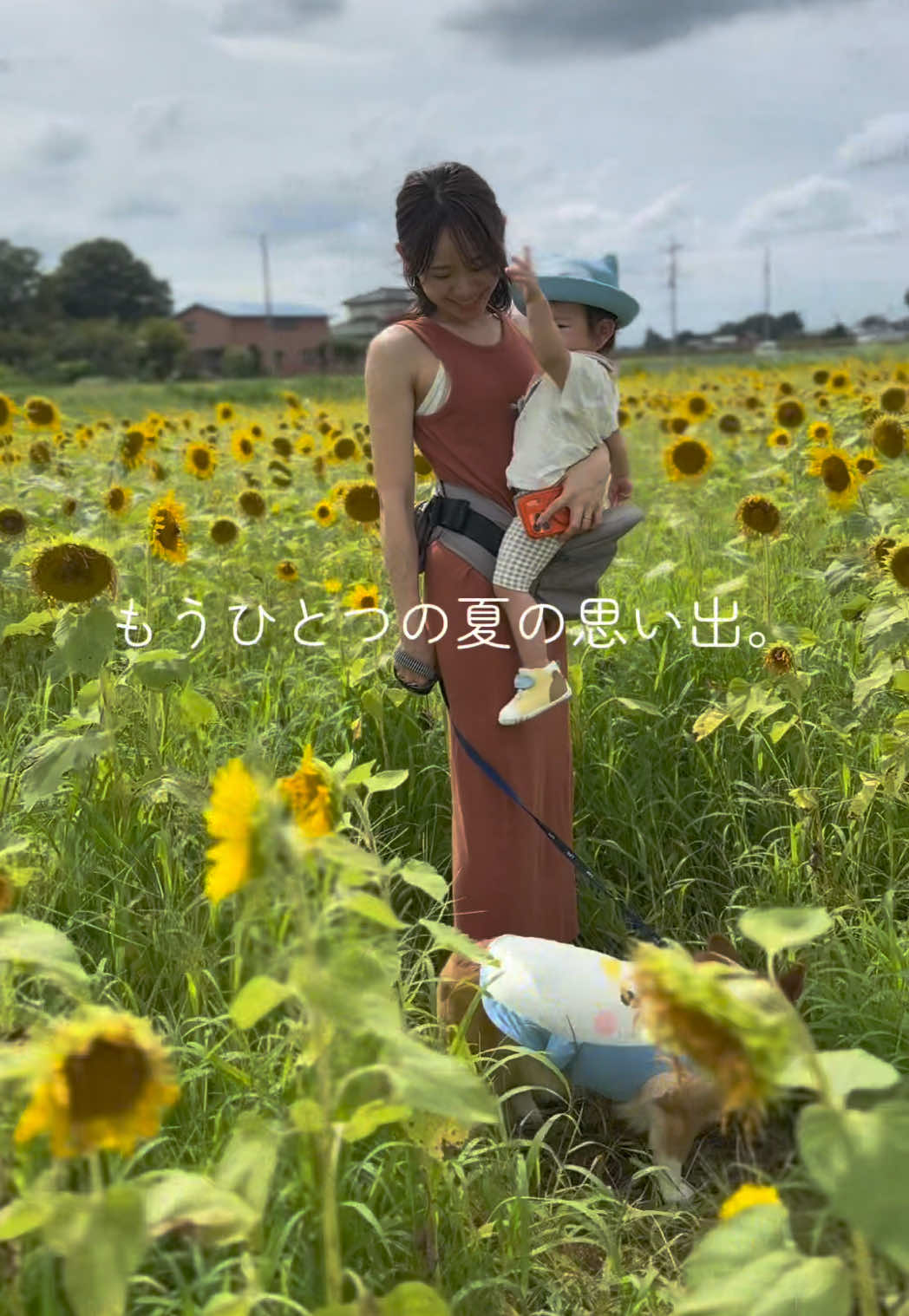 @トロン